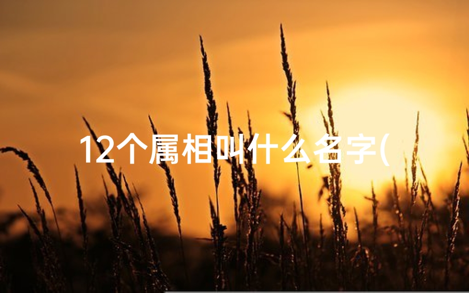 12个属相叫什么名字(十二生肖的名字)