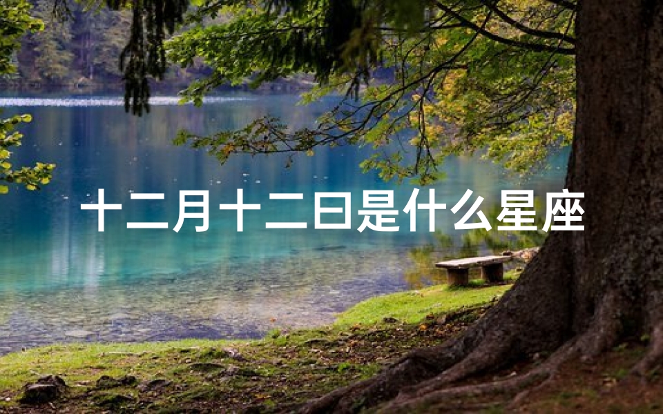 十二月十二曰是什么星座的(十二月什么星座)