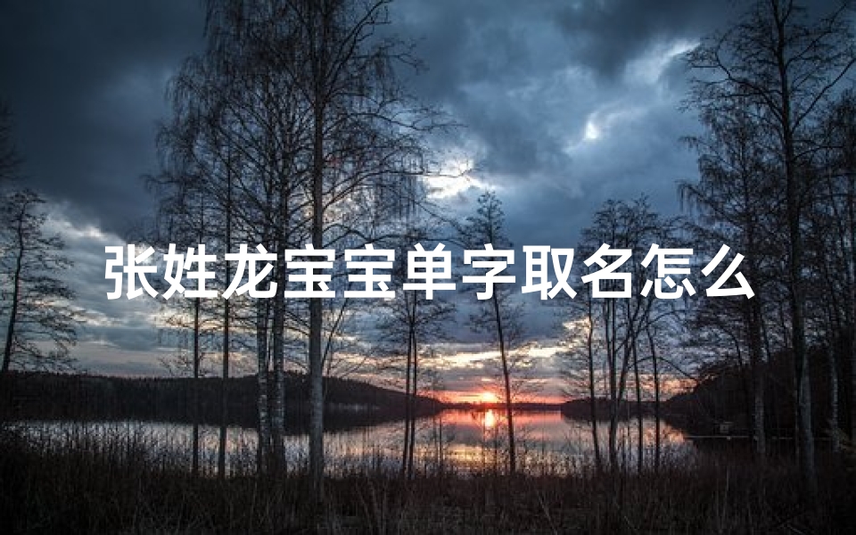 张姓龙宝宝单字取名怎么取(张姓龙宝宝单字取名怎么取好听)
