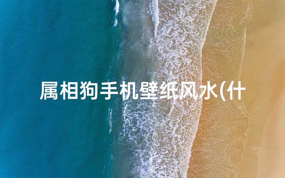 属相狗手机壁纸风水(什么狗最旺财壁纸头像)