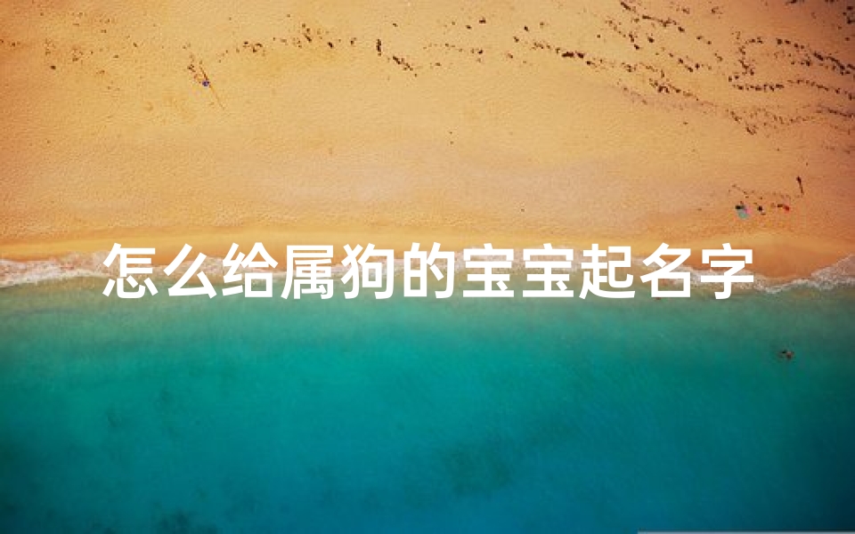 怎么给属狗的宝宝起名字女生(属狗的女孩名字)