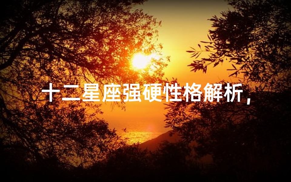 十二星座强硬性格解析,星座特质中的强势表现