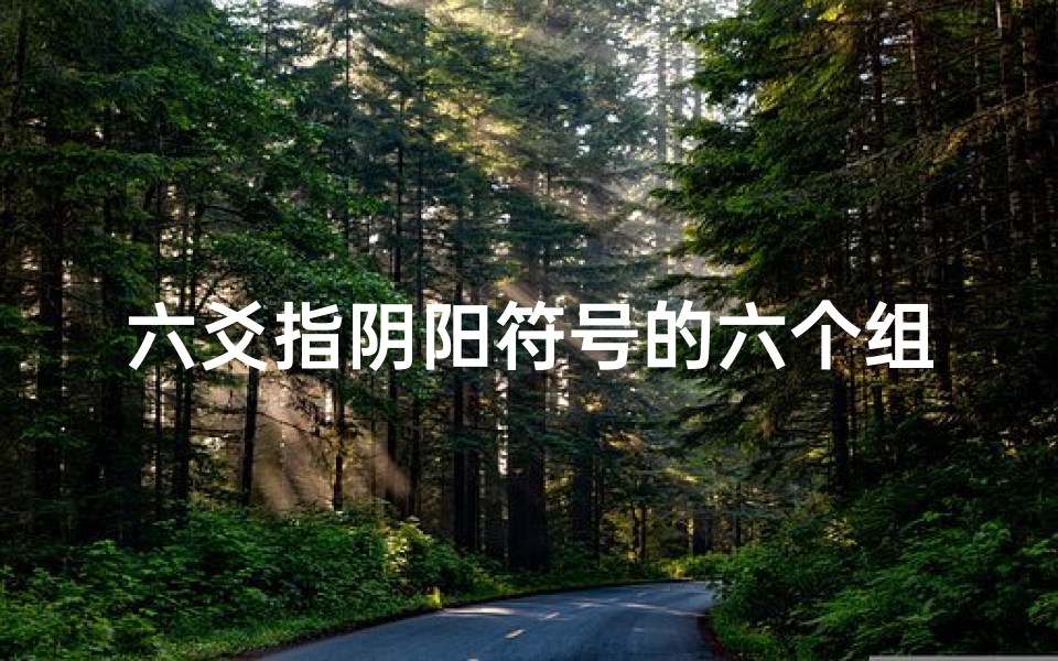 六爻指阴阳符号的六个组合-《六阴爻卦象解读:吉凶预兆深度剖析》