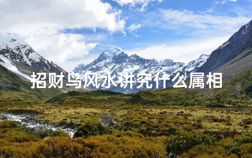 招财鸟风水讲究什么属相(家里养鹦鹉鸟的风水好处)