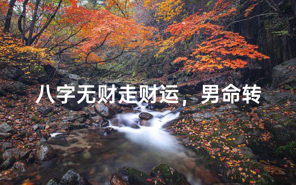 八字无财走财运，男命转运新篇章