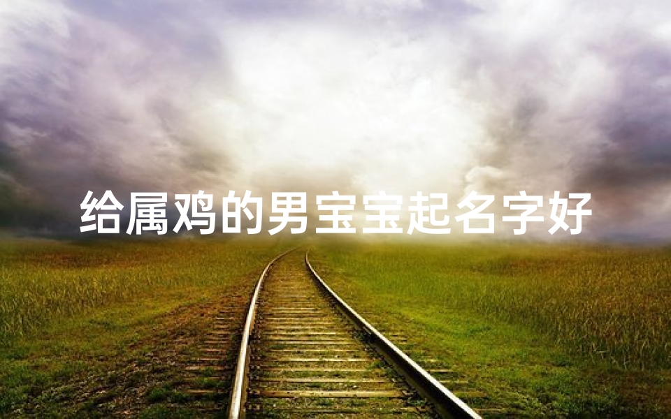 给属鸡的男宝宝起名字好吗(属鸡男孩最吉利的名字)-东贵算卦网