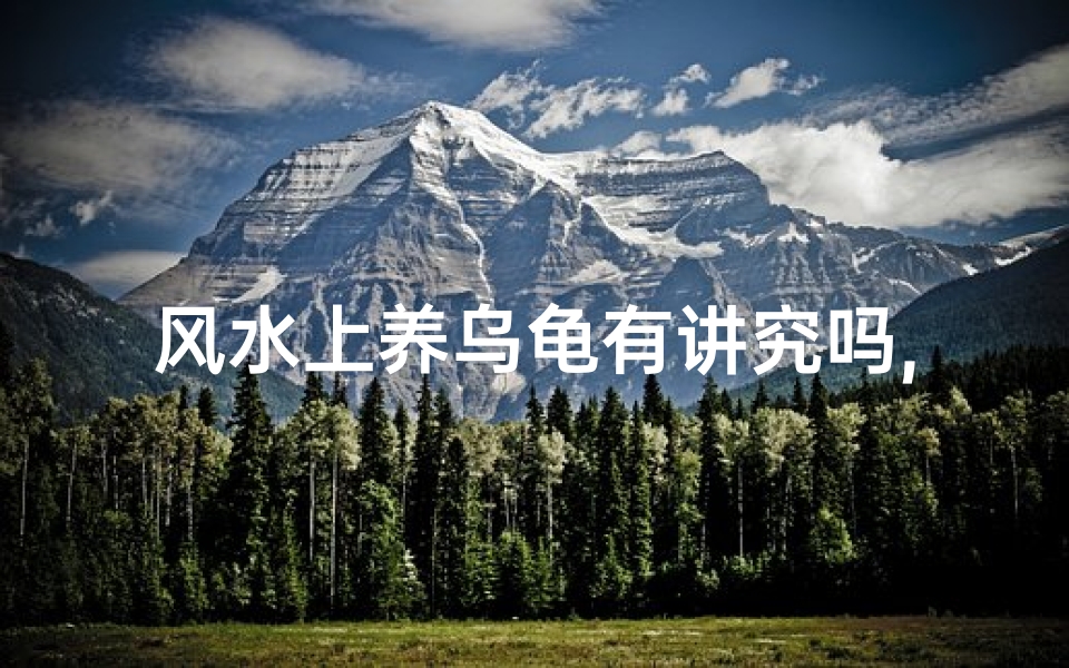 风水上养乌龟有讲究吗,风水养龟有何讲究?