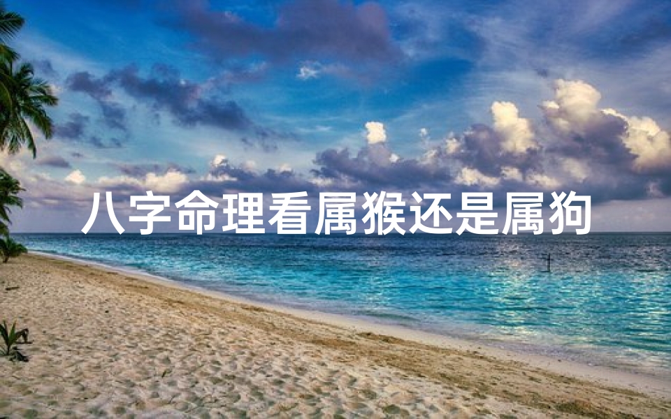 八字命理看属猴还是属狗_八字命理看属猴还是属狗的