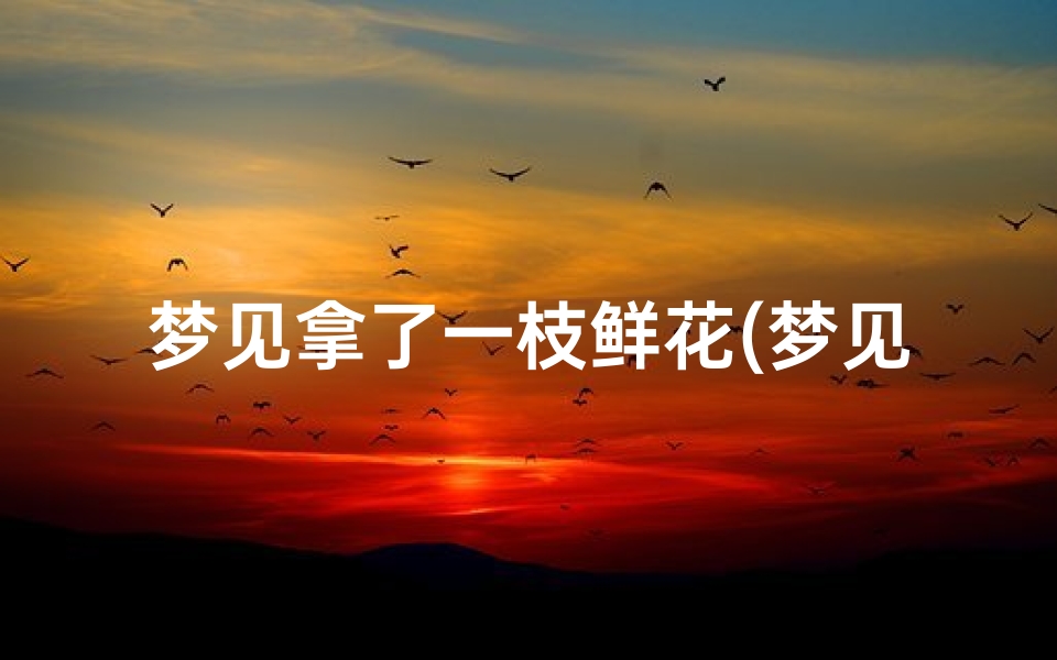 梦见拿了一枝鲜花(梦见拿了一枝鲜花回家)