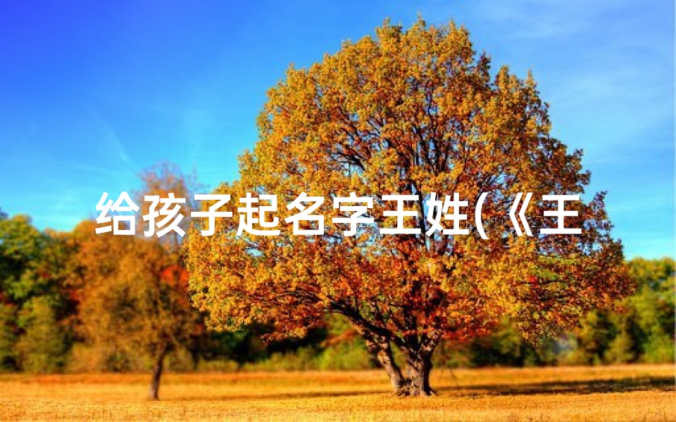 给孩子起名字王姓(《王衍:寓意深远,传承美好》)