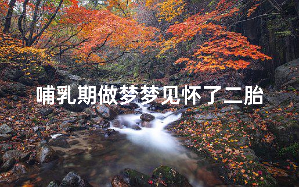 哺乳期做梦梦见怀了二胎被老公打,哺乳期间梦见自己怀孕了