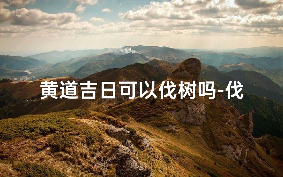 黄道吉日可以伐树吗-伐树的黄道吉日