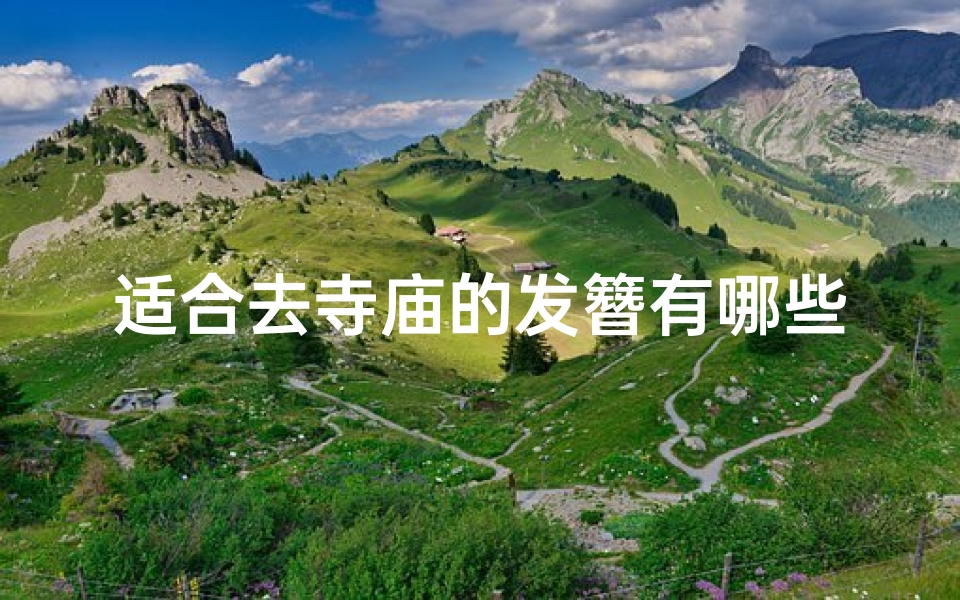 适合去寺庙的发簪有哪些、有限公司的设立条件有哪些