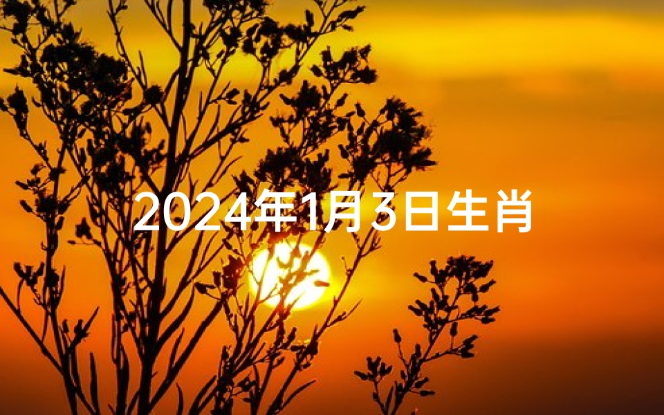 2024年1月3日生肖鸡运势;属鸡1月4日运势