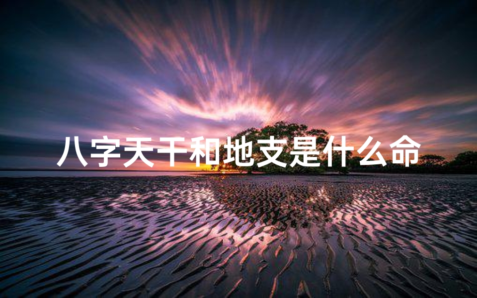 八字天干和地支是什么命_八字天干地支揭秘:你的命理运势全解析