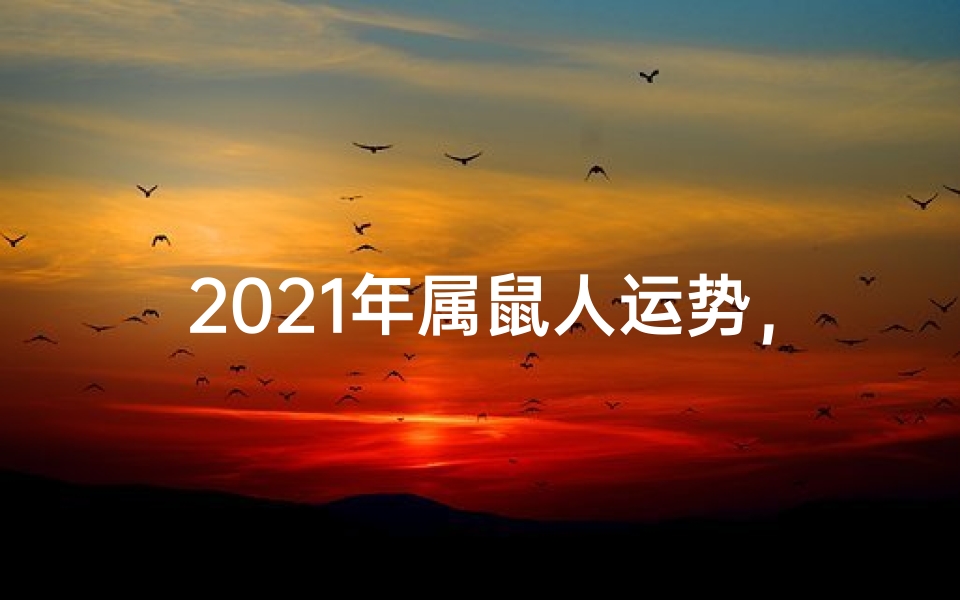 2021年属鼠人运势，事业财运与感情健康全解析