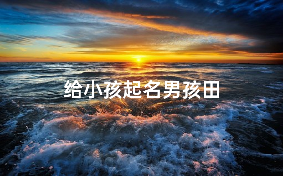 给小孩起名男孩田