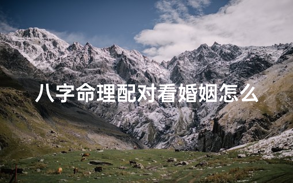 八字命理配对看婚姻怎么看;八字命理配对婚姻奥秘解析