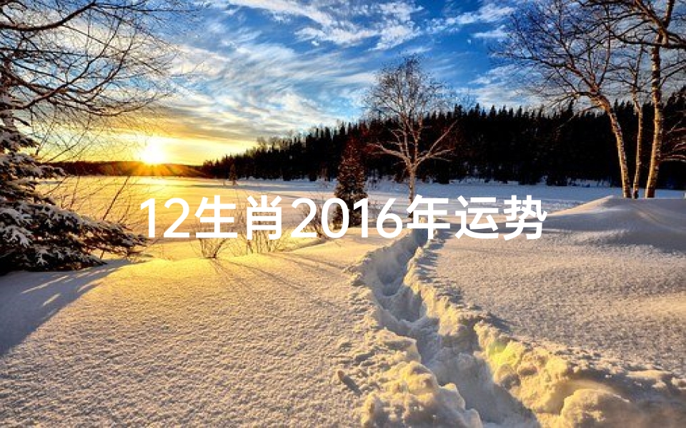 12生肖2016年运势