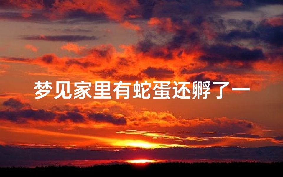 梦见家里有蛇蛋还孵了一条出来;梦到家里有蛇蛋