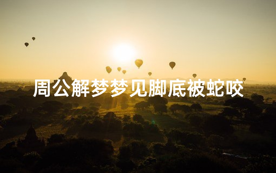 周公解梦梦见脚底被蛇咬(梦见蛇咬到脚后跟的预兆)