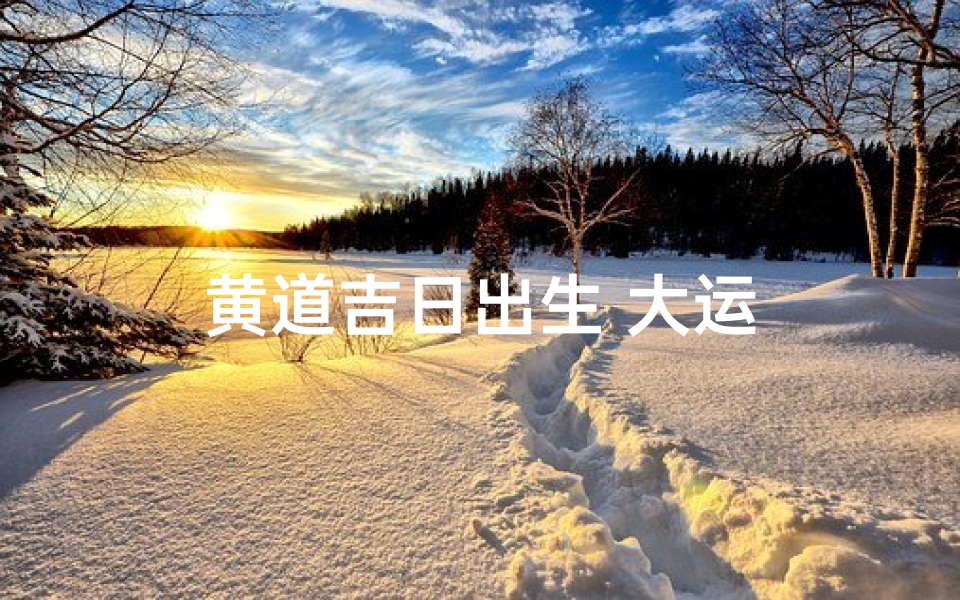 黄道吉日出生 大运