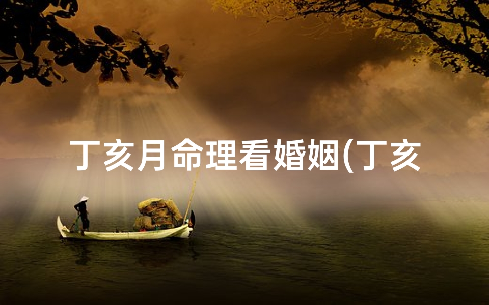 丁亥月命理看婚姻(丁亥月生的命运分析)