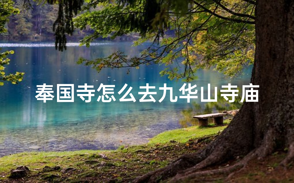 奉国寺怎么去九华山寺庙方便、从奉国寺到九华山的朝圣之旅