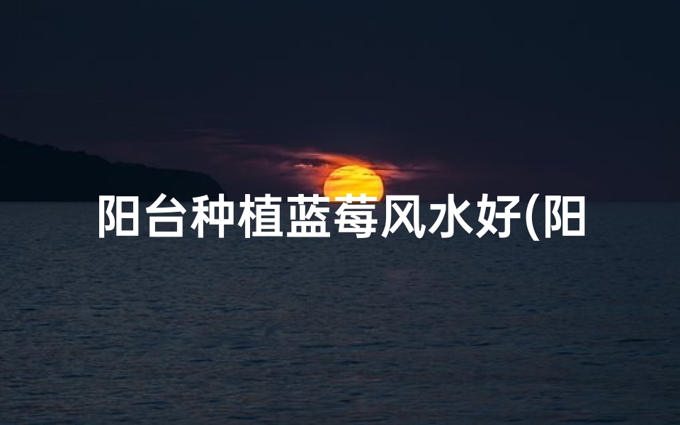 阳台种植蓝莓风水好(阳台蓝莓风水佳,丰收秘诀在此揭晓)