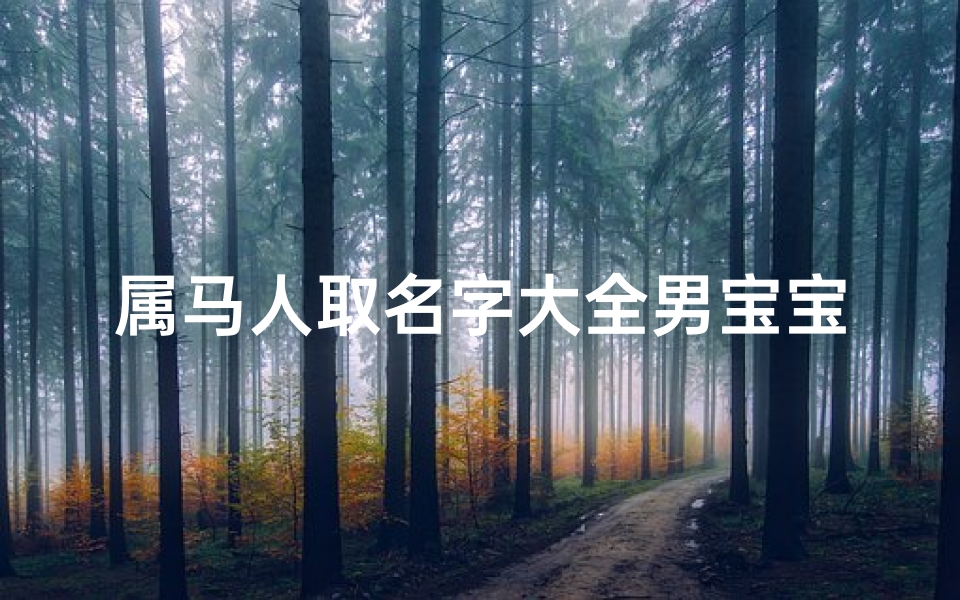 属马人取名字大全男宝宝(属马的男宝宝名字大全)