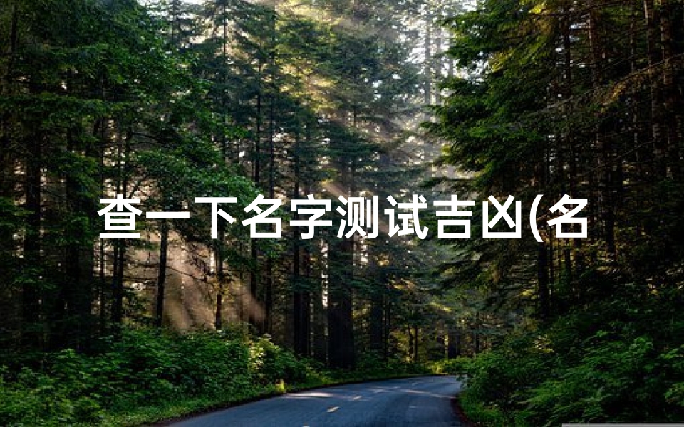 查一下名字测试吉凶(名字测试打分)