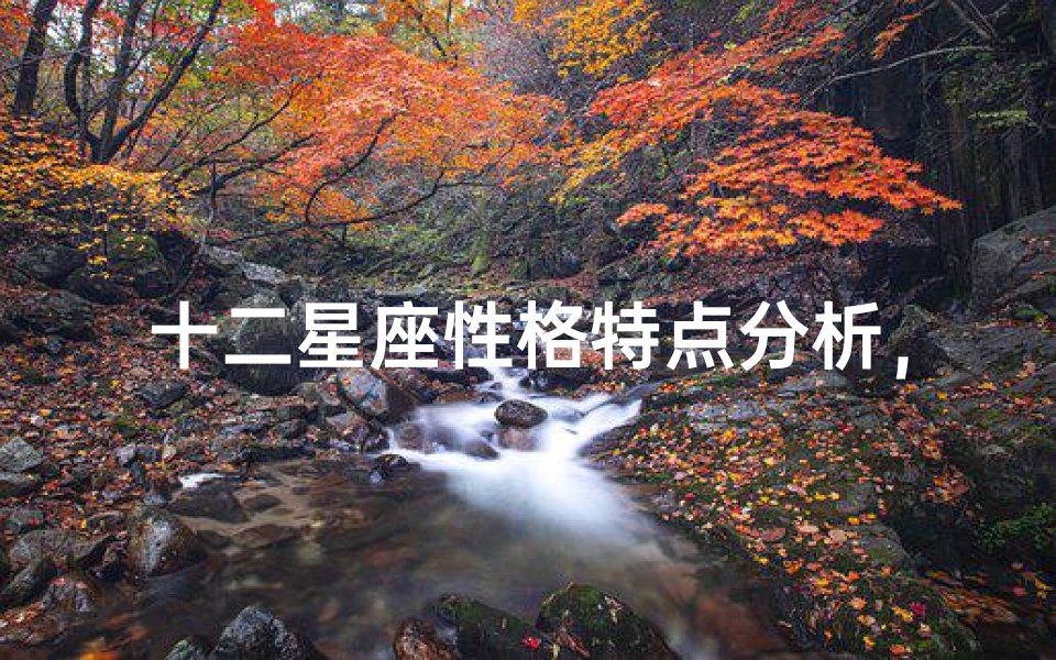 十二星座性格特点分析,揭秘不同星座的独特魅力