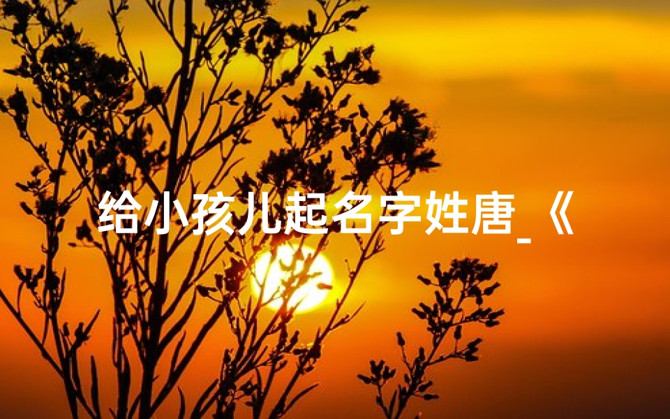 给小孩儿起名字姓唐_《唐姓宝宝,起名大作战:创意无限,智慧碰撞》
