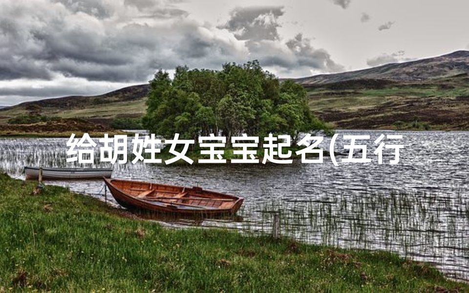 给胡姓女宝宝起名(五行属金有深意的胡姓女孩名字有哪些)