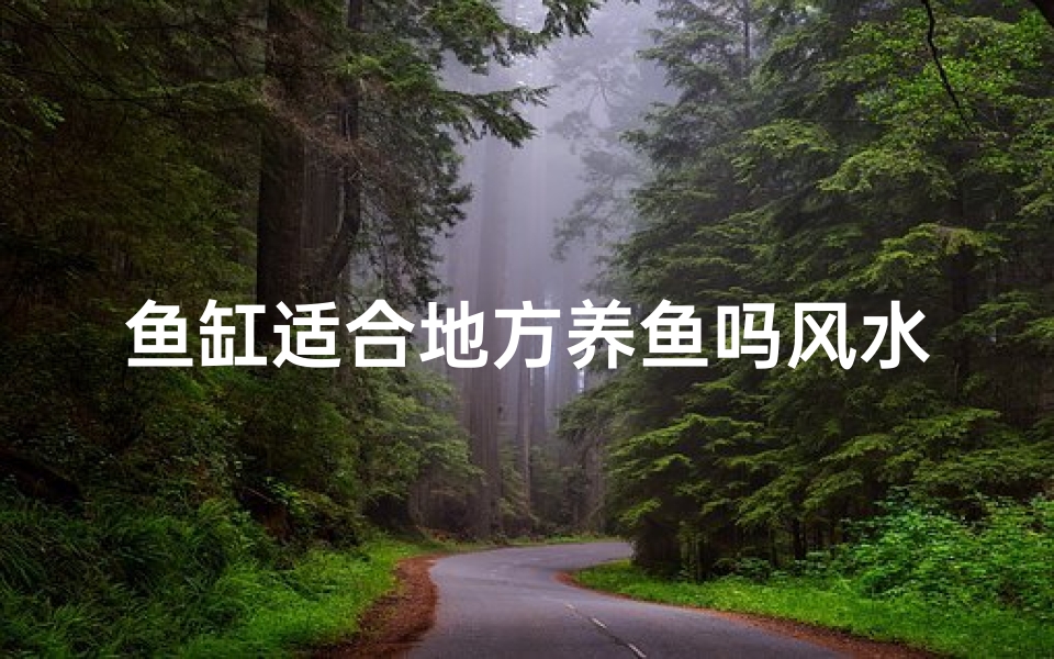 鱼缸适合地方养鱼吗风水好吗、鱼缸适合放房间吗