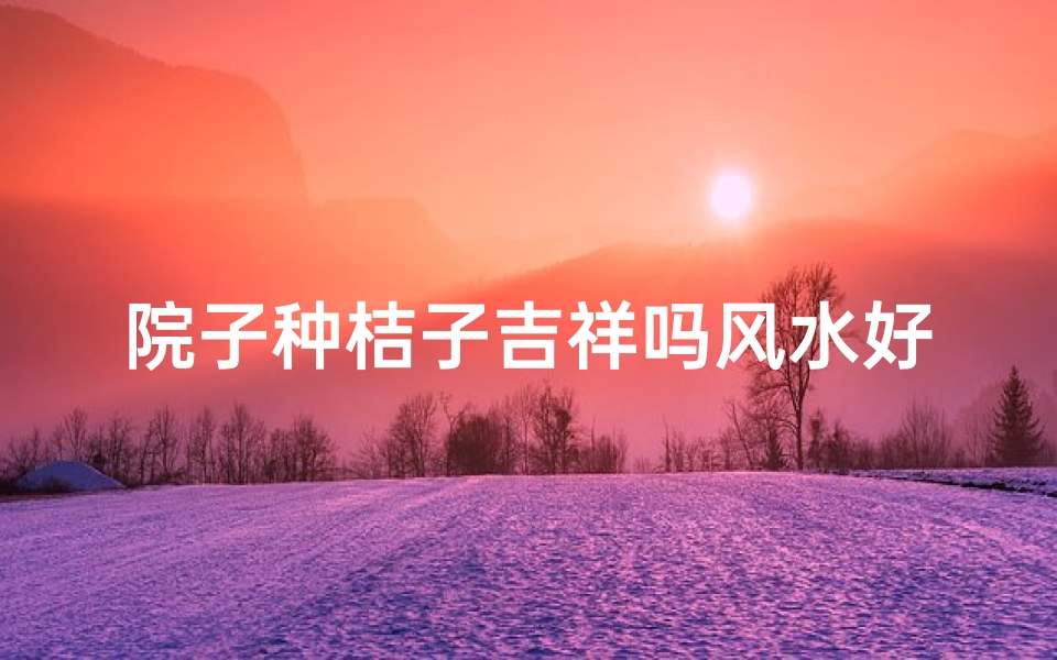 院子种桔子吉祥吗风水好吗—院子种桔子:吉祥风水两相宜