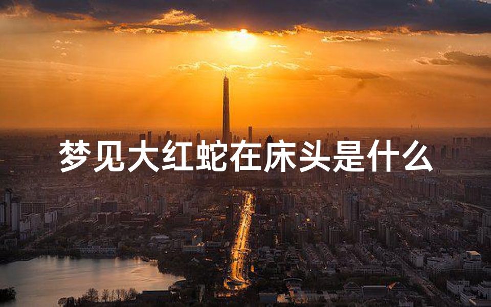 梦见大红蛇在床头是什么预兆-梦到大红蛇-东贵算卦网