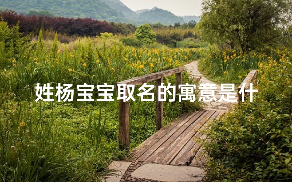 姓杨宝宝取名的寓意是什么(给宝宝起名字姓杨)
