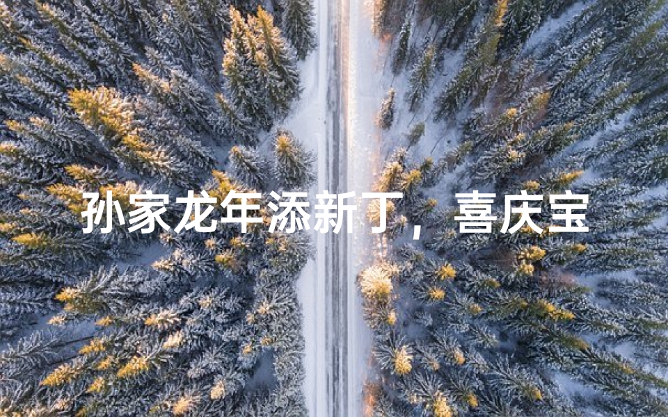 孙家龙年添新丁,喜庆宝宝取名记