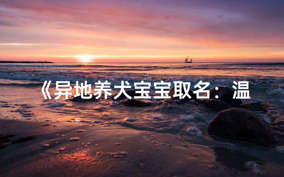 《异地养犬宝宝取名:温馨宠物男宝佳名精选》