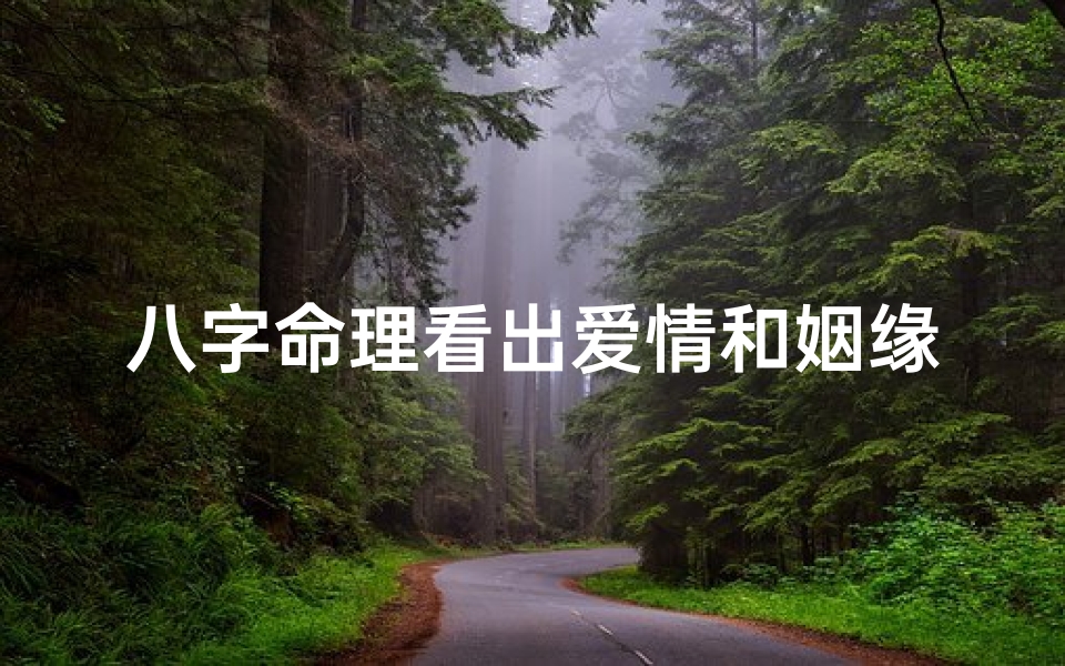 八字命理看出爱情和姻缘(八字看感情准吗)