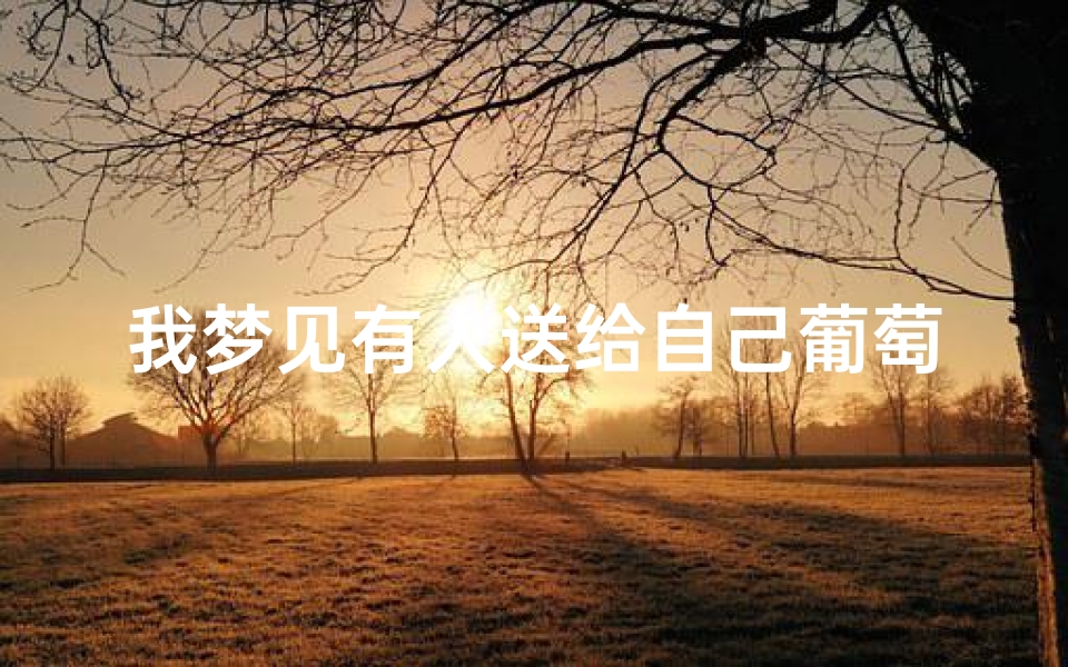 我梦见有人送给自己葡萄好不好,梦到别人给我送葡萄
