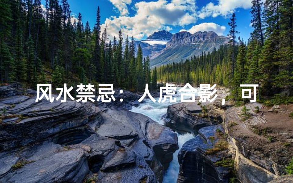 风水禁忌:人虎合影,可行否?