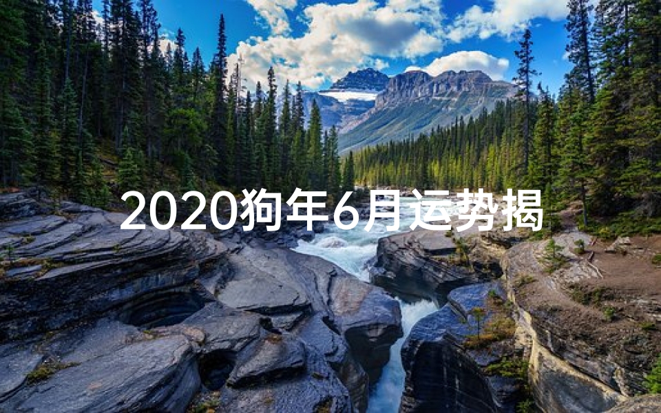2020狗年6月运势揭秘:运势旺旺迎夏季
