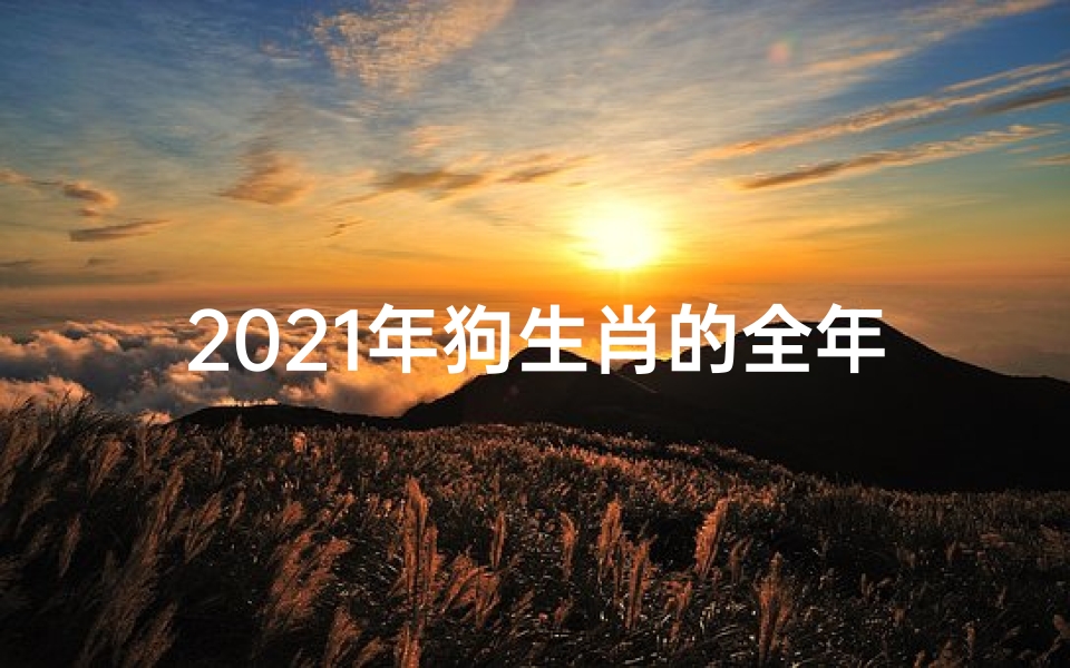 2021年狗生肖的全年运势如何(属狗人去年运势盘点:喜忧参半,展望新篇)