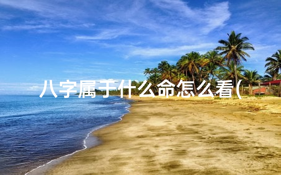 八字属于什么命怎么看(如何看八字什么命)