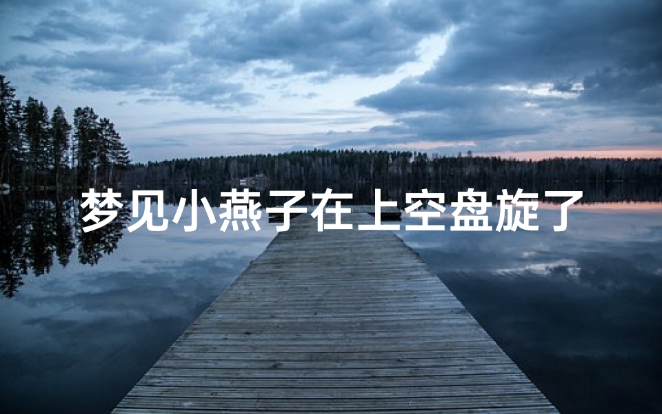 梦见小燕子在上空盘旋了;梦见小燕子在上空盘旋了什么意思