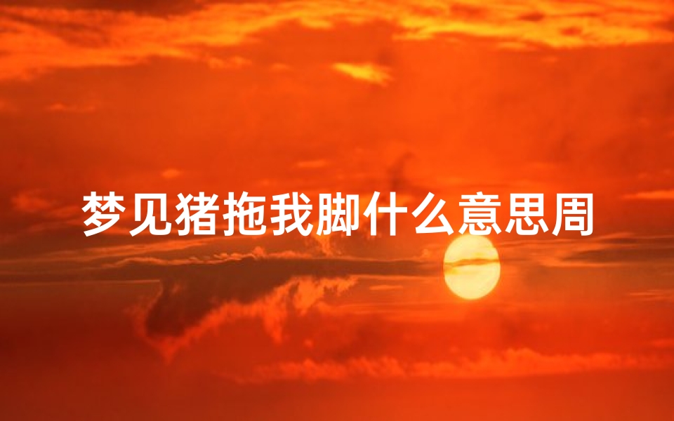 梦见猪拖我脚什么意思周公解梦(梦见猪是什么意思)