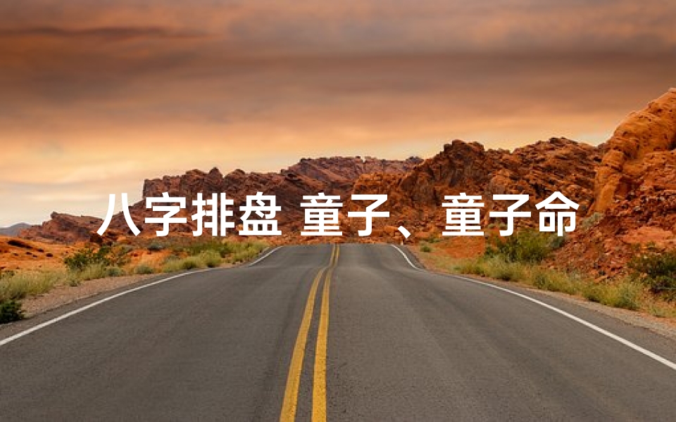 八字排盘 童子、童子命八字排盘神器,手机版轻松算命