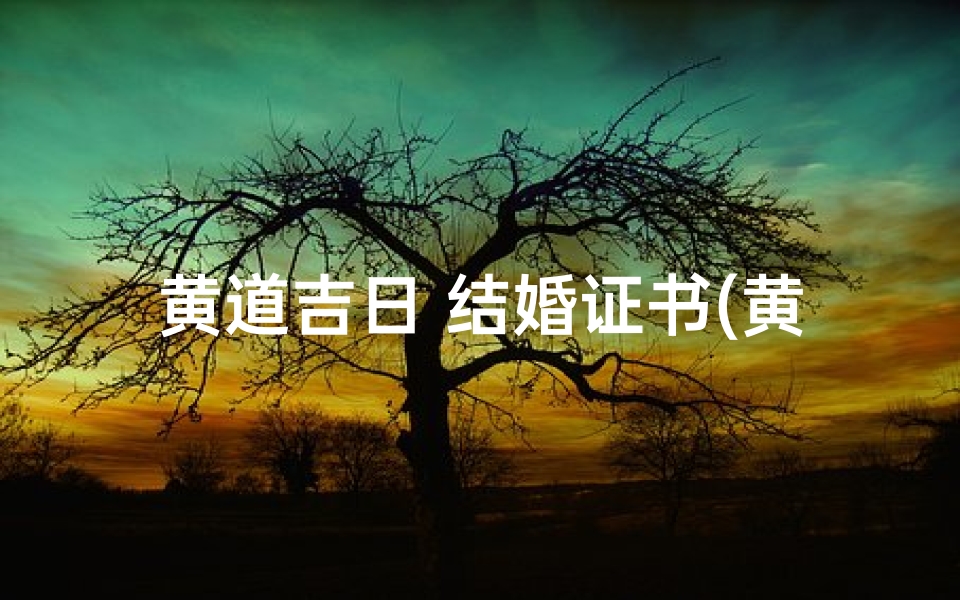 黄道吉日 结婚证书(黄道吉日见证爱情,证书铭刻永恒誓言)